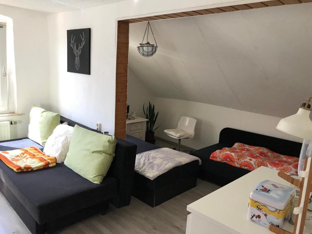 Ferienwohnung Im Einfamilienhaus, Automobil Und Robert Schumann Stadt Zwickau Dış mekan fotoğraf