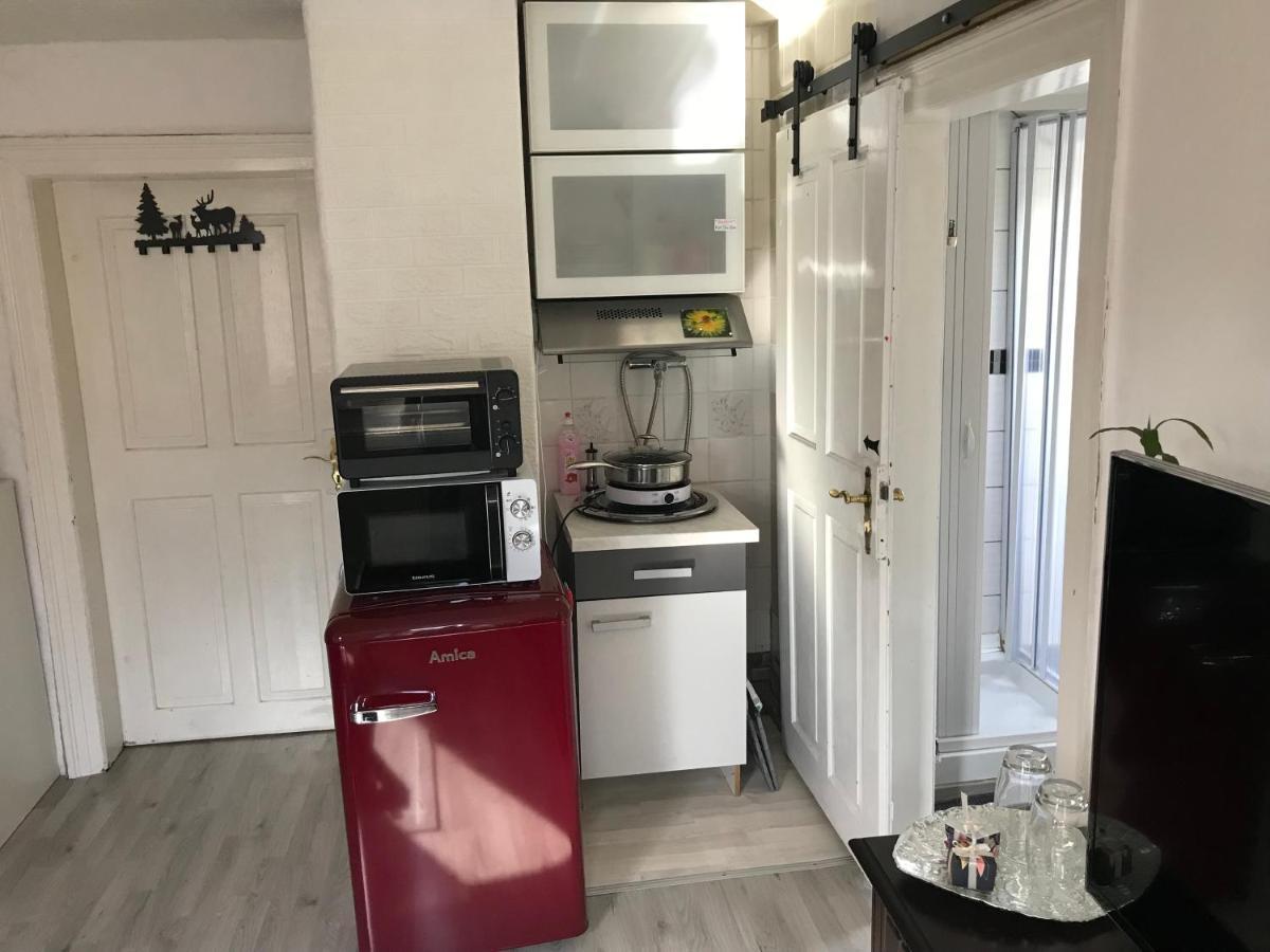 Ferienwohnung Im Einfamilienhaus, Automobil Und Robert Schumann Stadt Zwickau Dış mekan fotoğraf